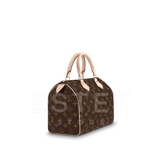 Сумка Louis Vuitton Speedy 25