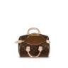 Сумка Louis Vuitton Speedy 25