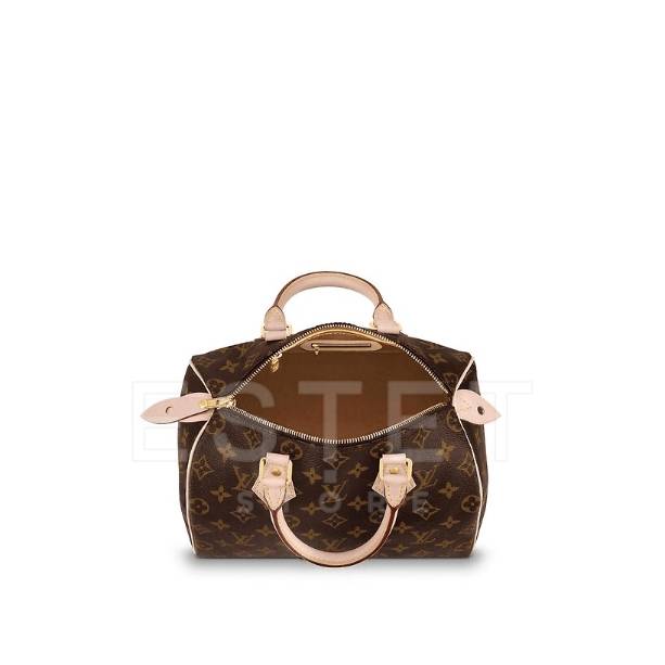 Сумка Louis Vuitton Speedy 25