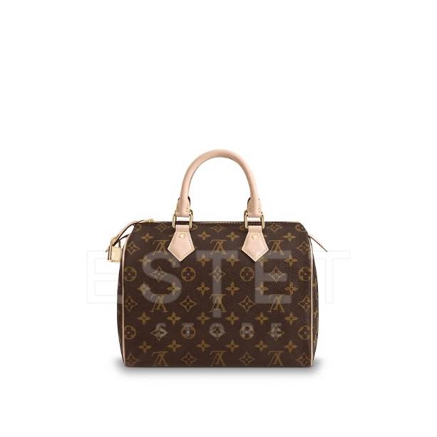 Сумка Louis Vuitton Speedy 25