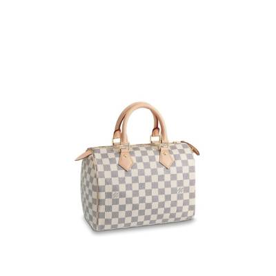 Сумка Louis Vuitton Speedy 25