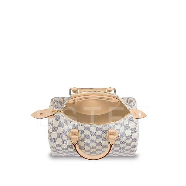 Сумка Louis Vuitton Speedy 25
