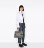 Сумка Dior Book Tote Синяя