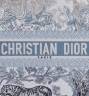 Сумка Dior Book Tote Синяя