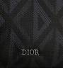 Сумка Dior Lingot Черная
