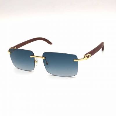 Очки Cartier ES-001595