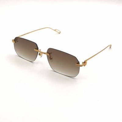 Очки мужские Cartier ES-001596